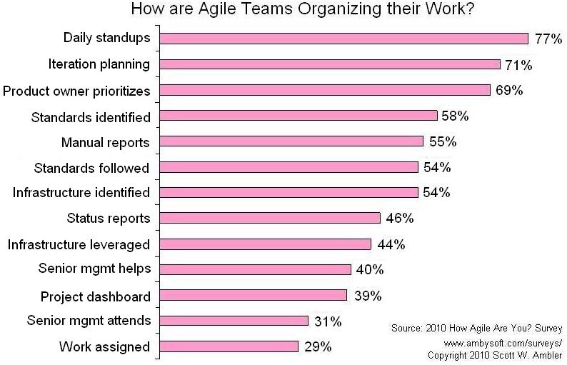 Agile criteria - self organization