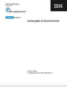 IBM Scaling Agile: An Executive Guide